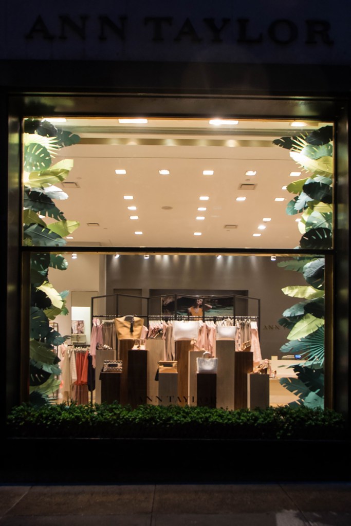 travis burnham ann taylor window